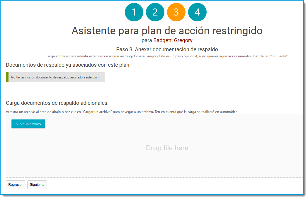 05 Restricted Action Plan (RAP).png