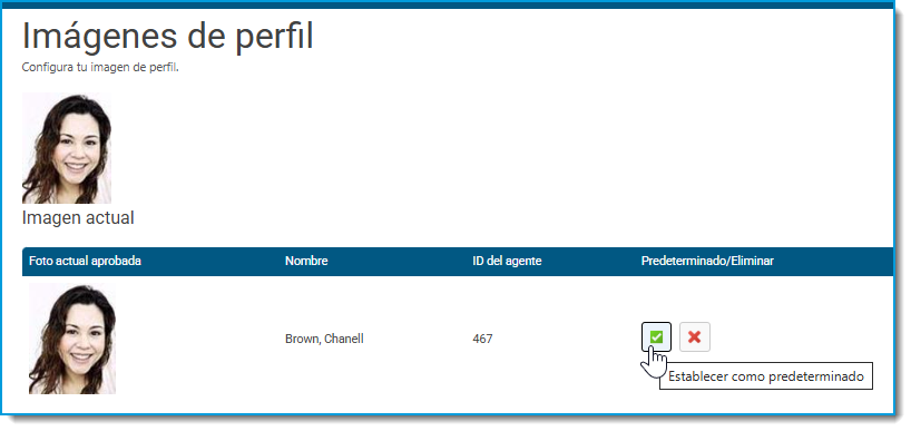 Agent user guide SP 63.png