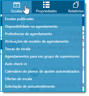39 Agent user guide pr.png